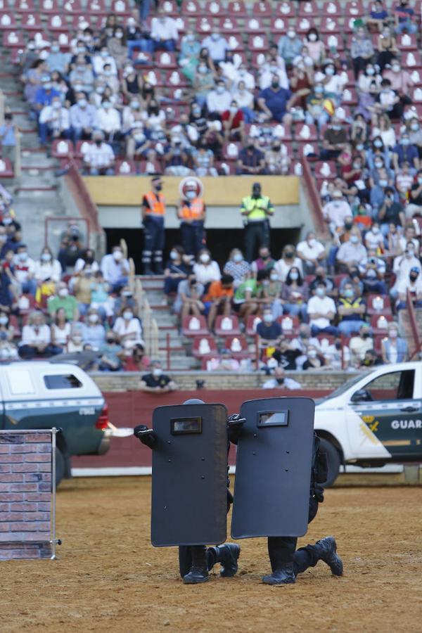 La exhibición de la Guardia Civil en la plaza de toros de Córdoba, en imágenes