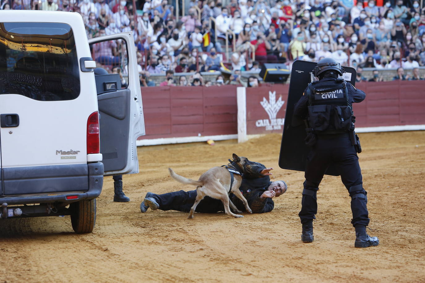 La exhibición de la Guardia Civil en la plaza de toros de Córdoba, en imágenes