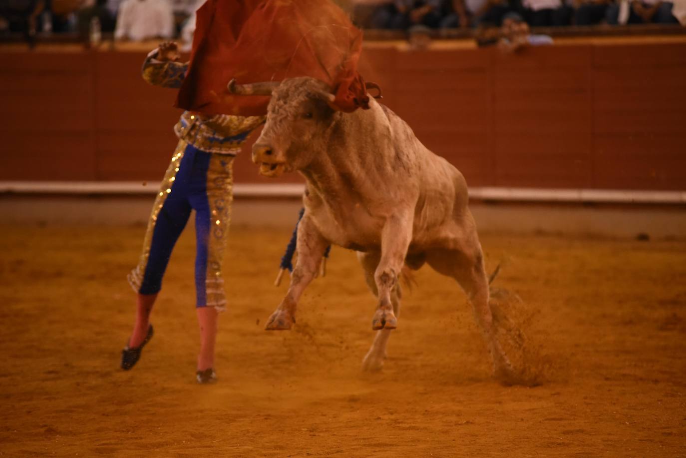 El festejo mixto de Montoro, en imágenes