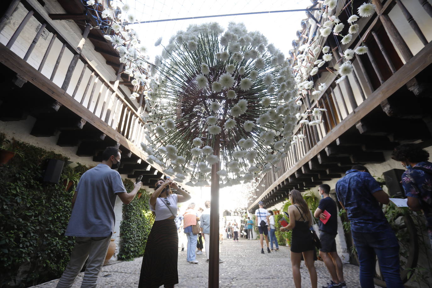 Festival Flora Córdoba | El lleno de la primera jornada en imágenes (I)