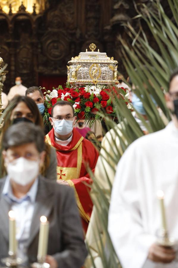 La beatificacion de 127 mártires de la persecución en Córdoba, en imágenes (II)