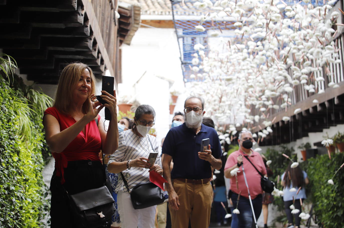 Festival Flora Córdoba 2021 | Gran ambiente de público en los patios, en imágenes (II)