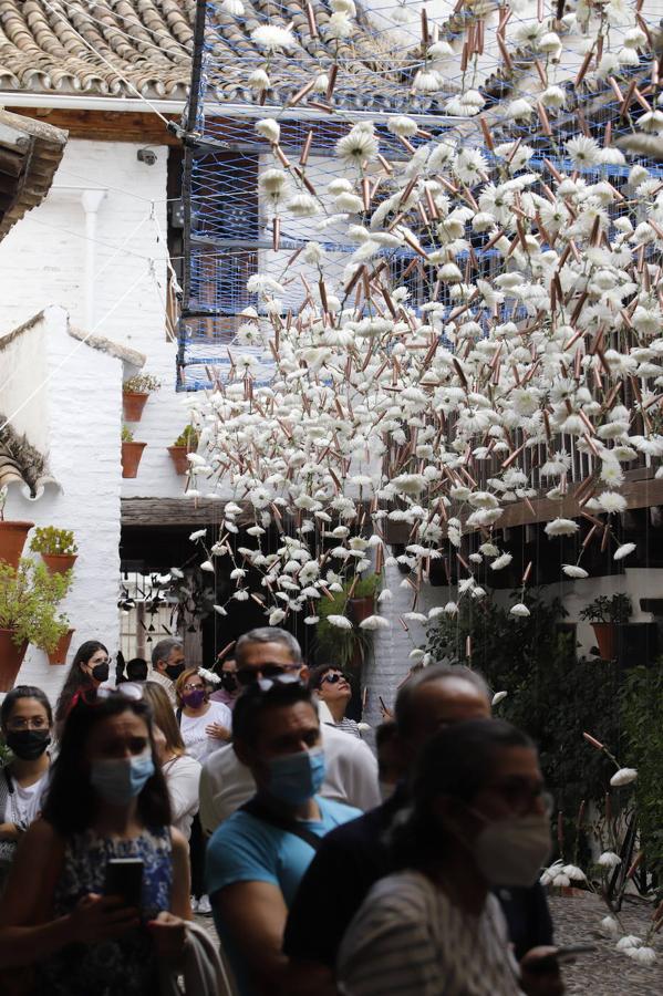 Festival Flora Córdoba 2021 | Gran ambiente de público en los patios, en imágenes (II)