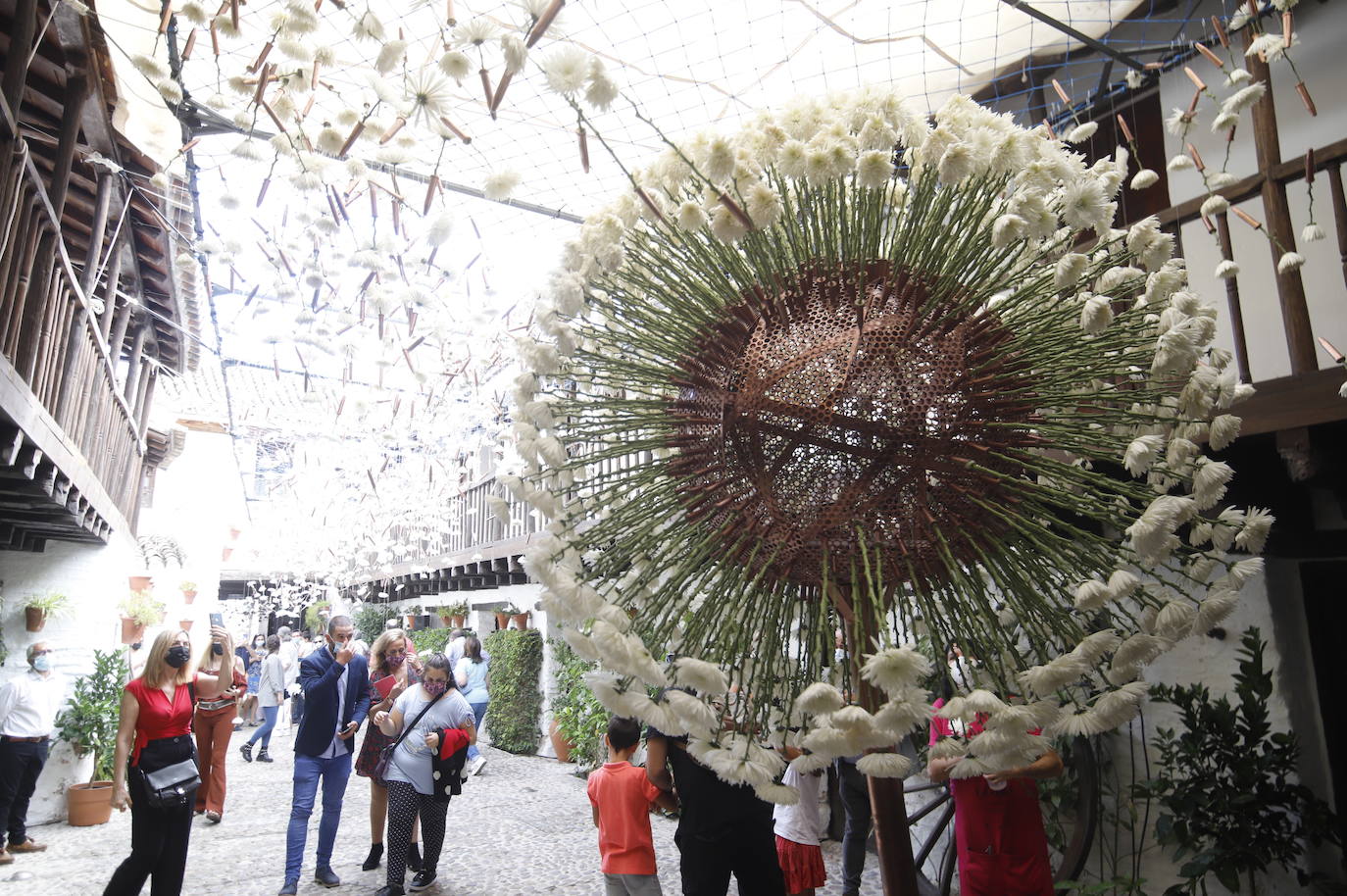 Festival Flora Córdoba 2021 | Gran ambiente de público en los patios, en imágenes (II)