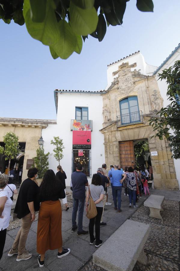 Festival Flora Córdoba 2021 | Gran ambiente de público en los patios, en imágenes (I)