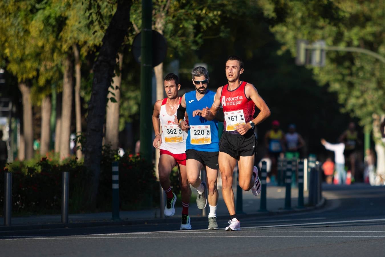 ¿Has corrido la Media Maratón de Sevilla? Búscate aquí (V)