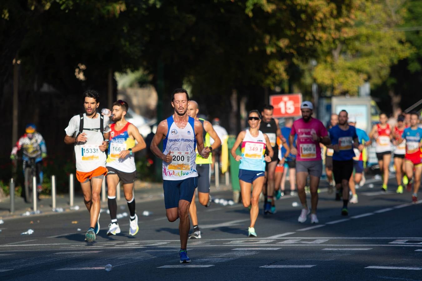 ¿Has corrido la Media Maratón de Sevilla? Búscate aquí (V)