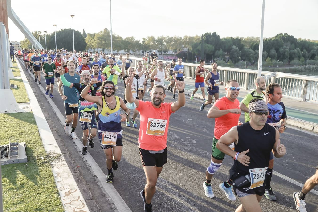 ¿Has corrido la Media Maratón de Sevilla? Búscate aquí (VI)