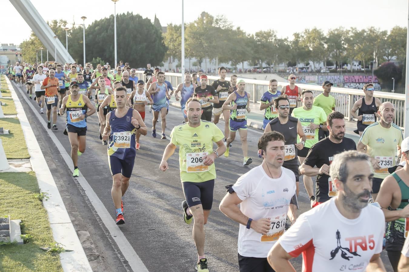 ¿Has corrido la Media Maratón de Sevilla? Búscate aquí (VI)