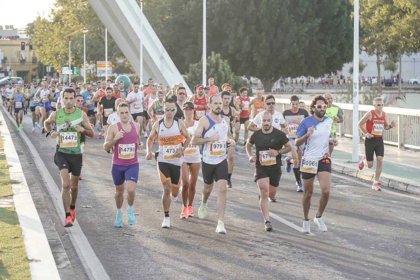 ¿Has corrido la Media Maratón de Sevilla? Búscate aquí (VI)