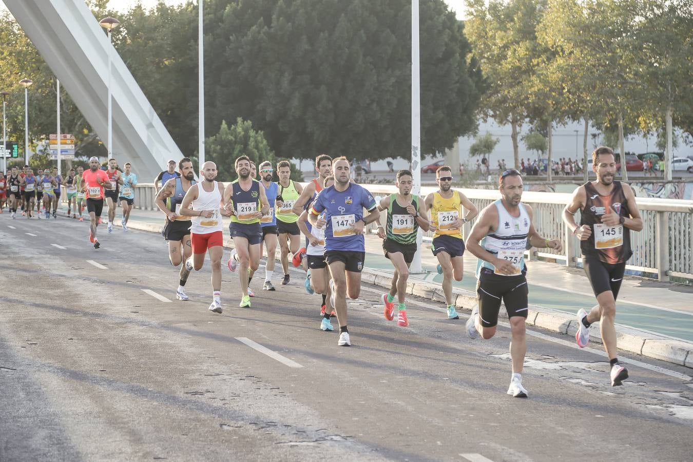 ¿Has corrido la Media Maratón de Sevilla? Búscate aquí (IV)