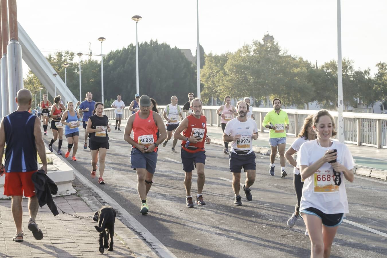 ¿Has corrido la Media Maratón de Sevilla? Búscate aquí (IV)