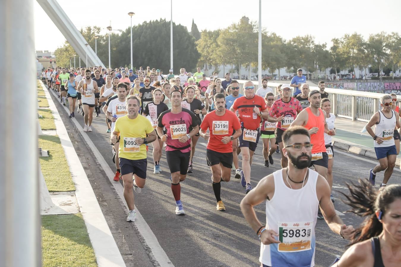 ¿Has corrido la Media Maratón de Sevilla? Búscate aquí (VI)