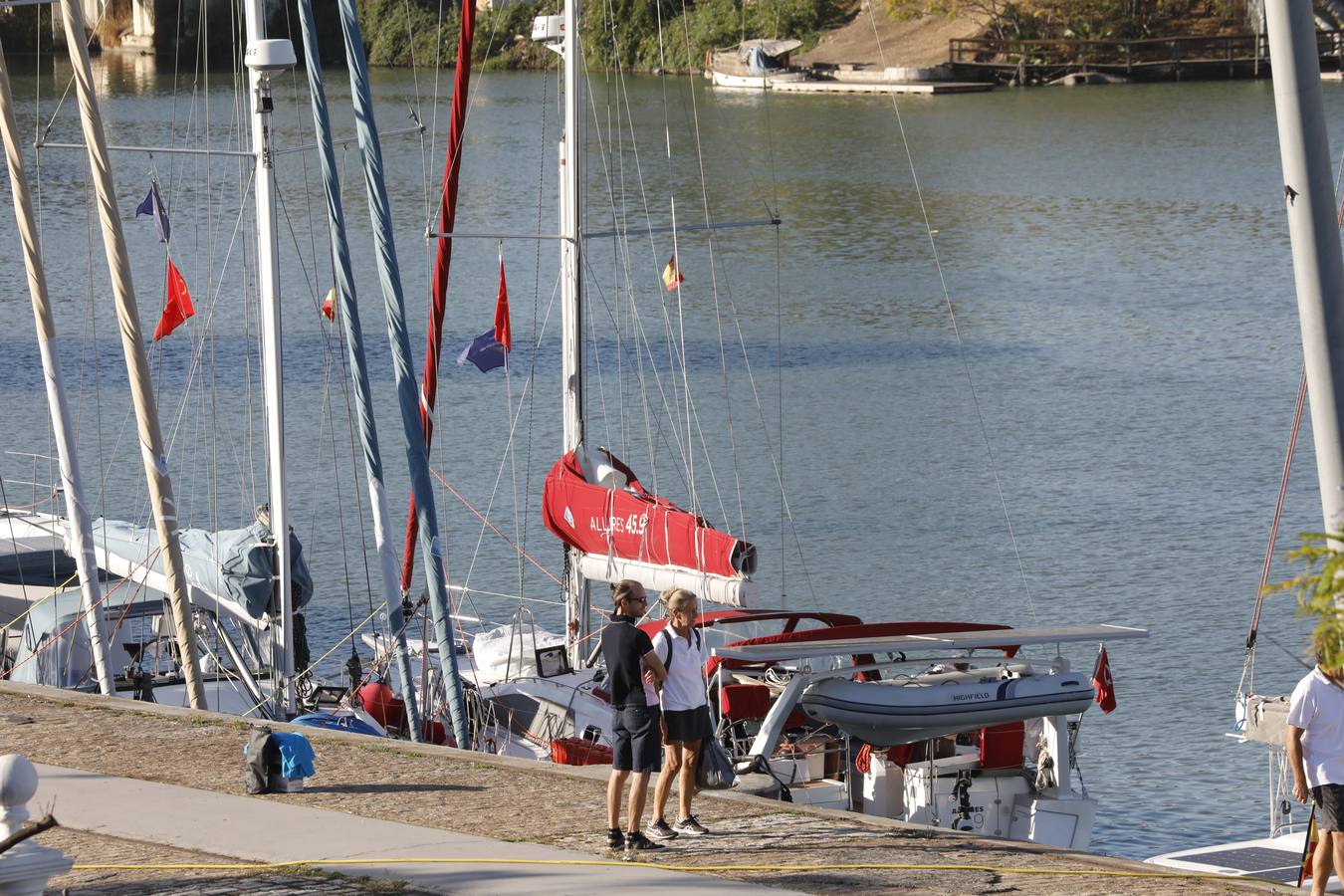 Los veleros que participarán en la travesía ya se encuentran en el Puerto de Sevilla