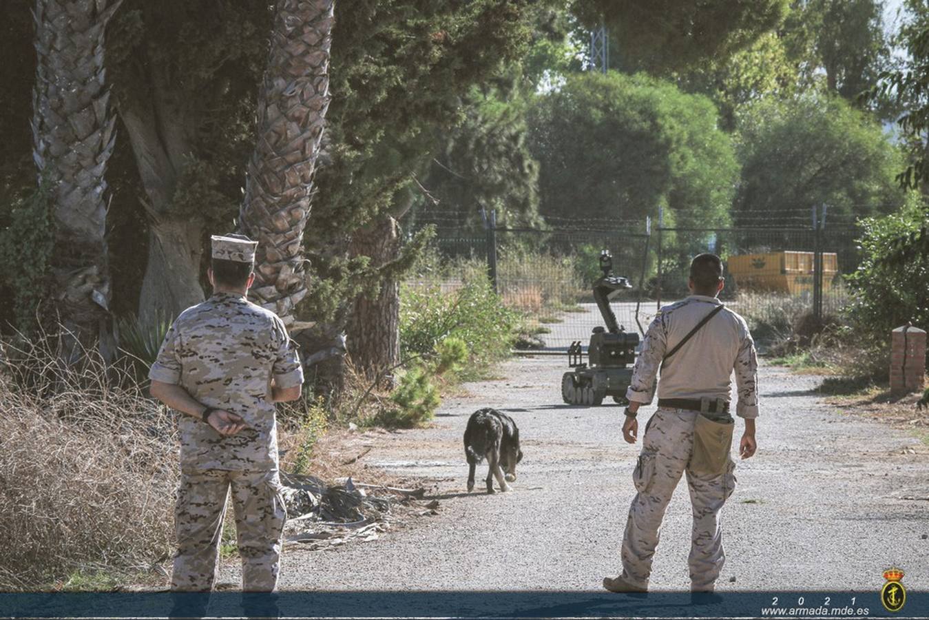 Fotos: Las unidades caninas de la Armada, en pleno ejercicio en Cádiz