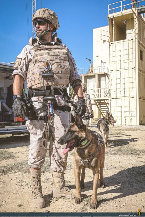 Fotos: Las unidades caninas de la Armada, en pleno ejercicio en Cádiz