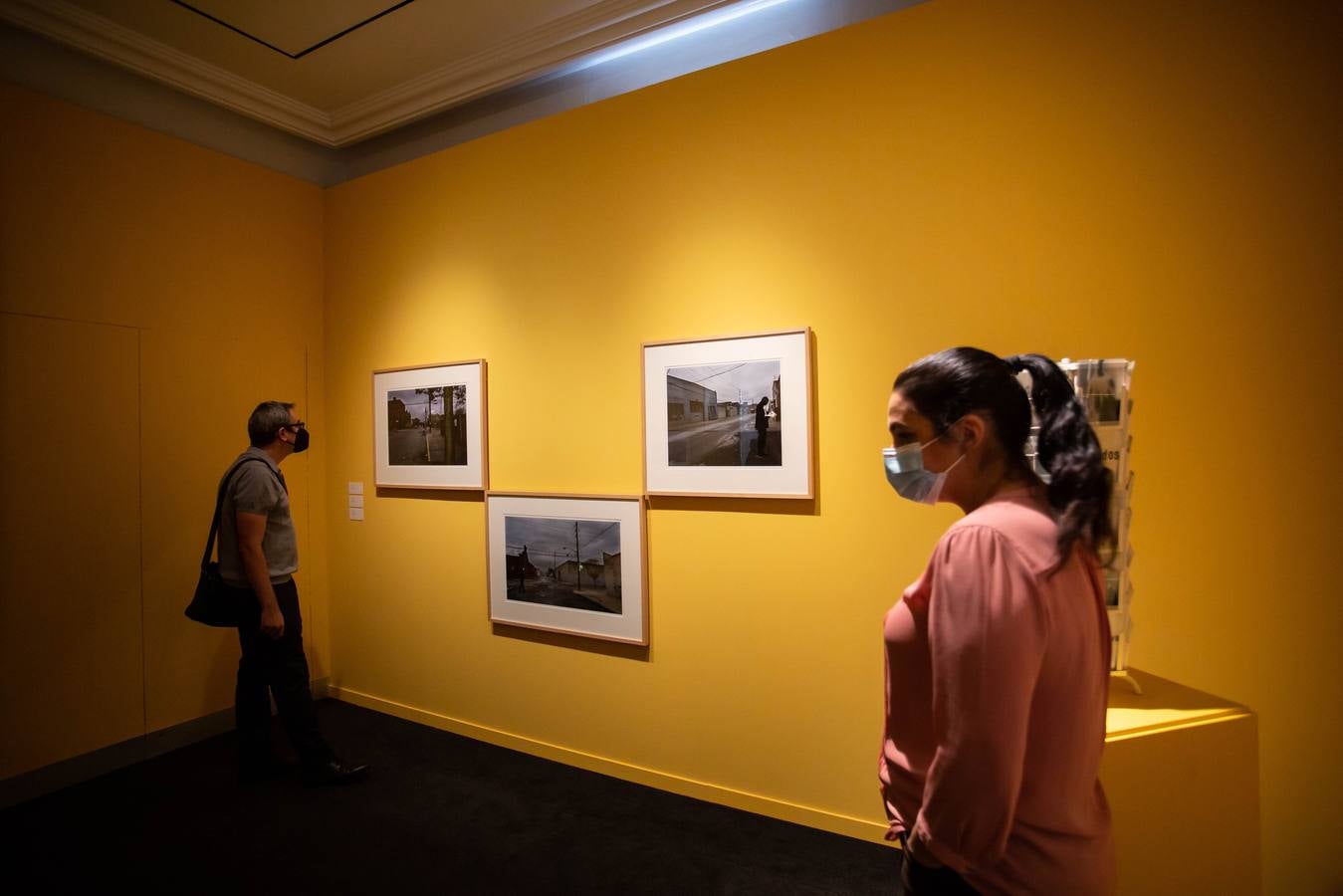 En imágenes, presentación de la muestra &#039;Creadores andaluces contemporáneos&#039; del Centro Fundación Unicaja de Sevilla