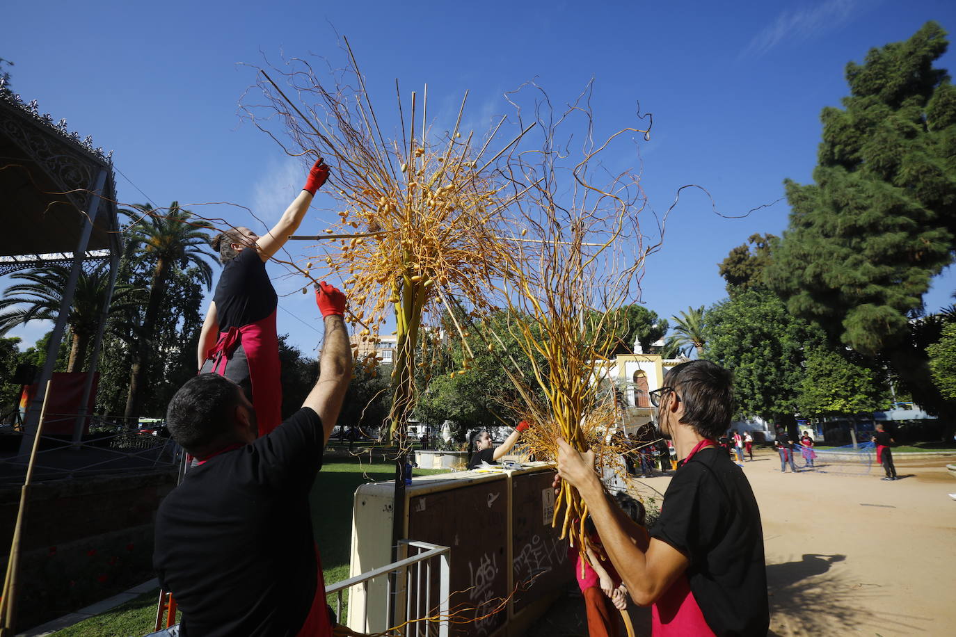 Flora Córdoba 2021 | La guerrilla final, en imágenes