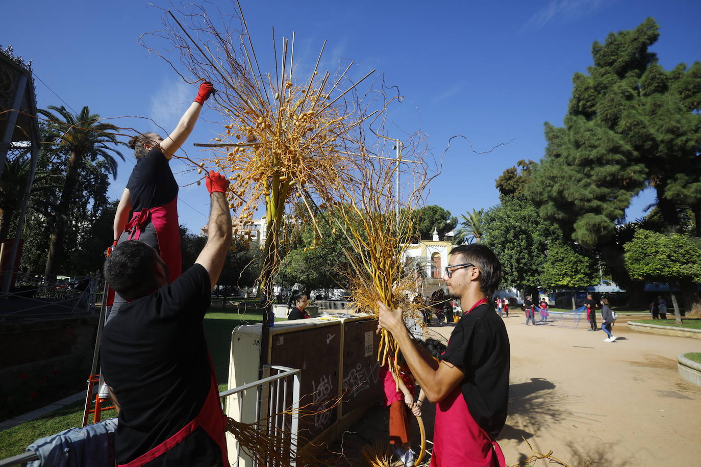 Flora Córdoba 2021 | La guerrilla final, en imágenes