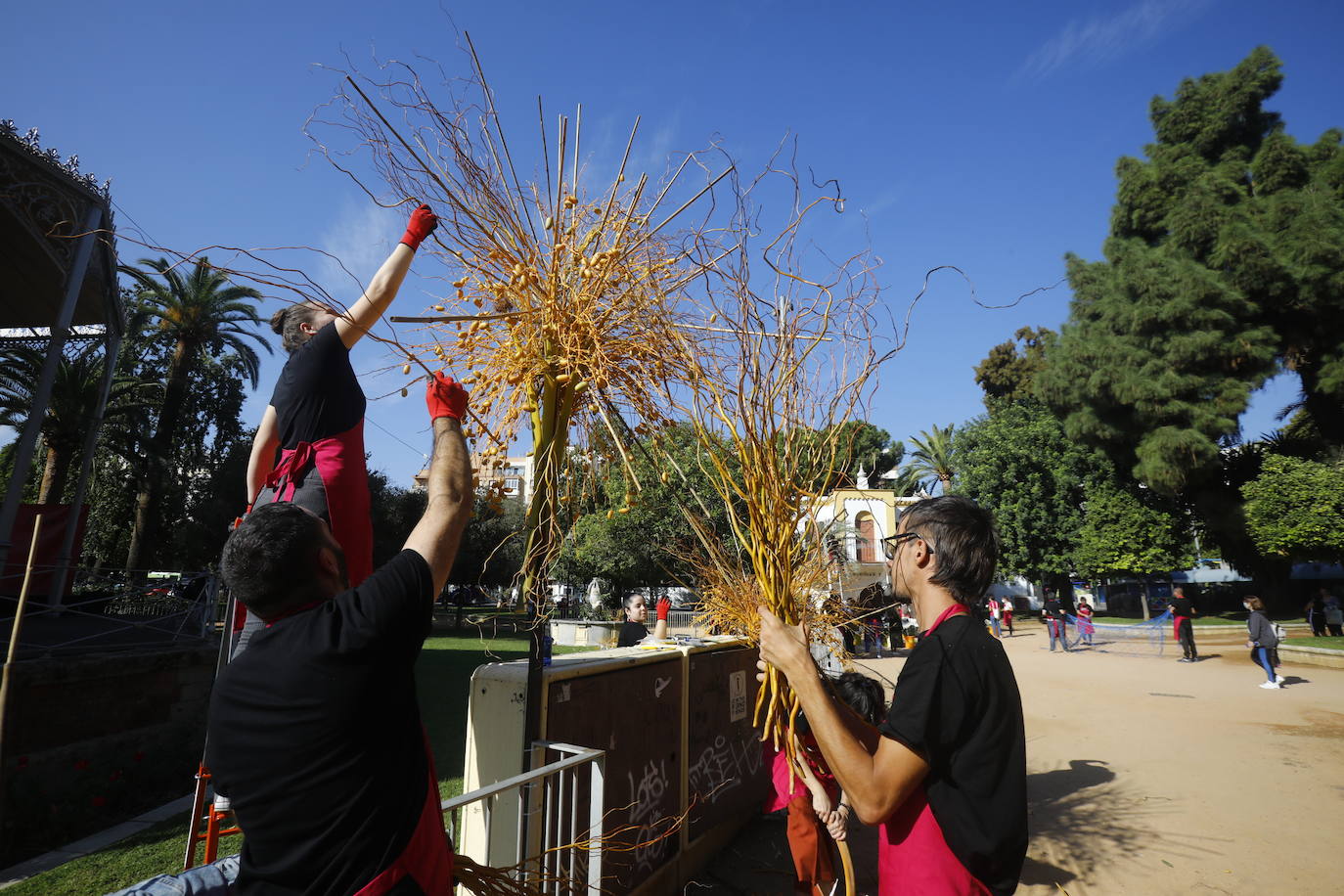 Flora Córdoba 2021 | La guerrilla final, en imágenes