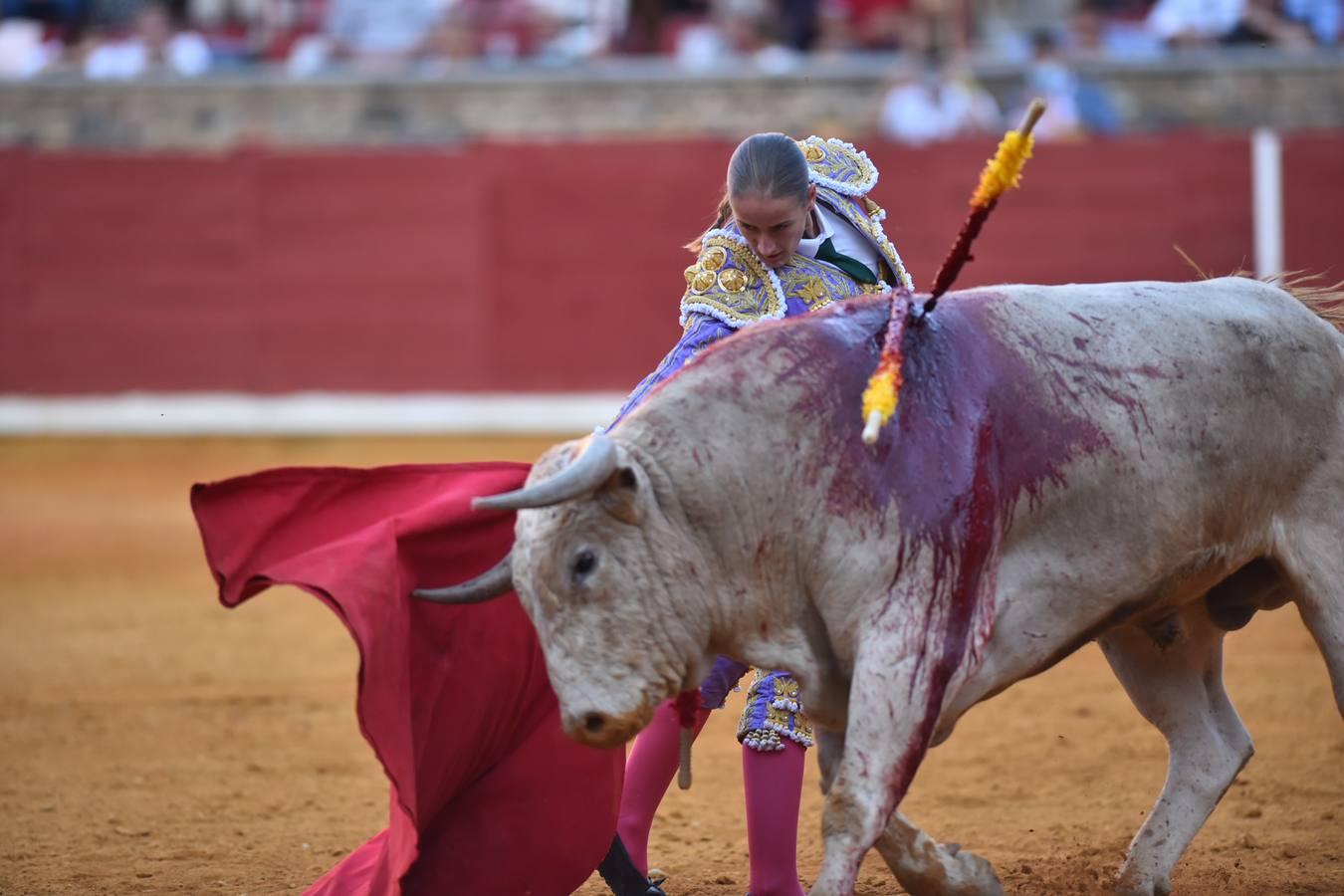 Toros en Córdoba | El cierre de temporada de Finito de Córdoba, en imágenes