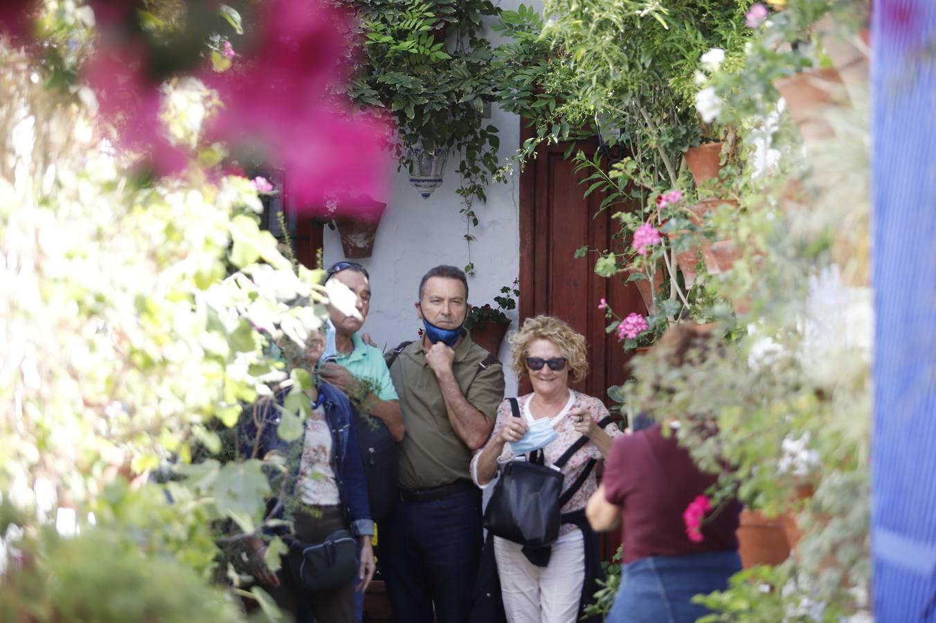 Los patios de octubre de Córdoba, en imágenes