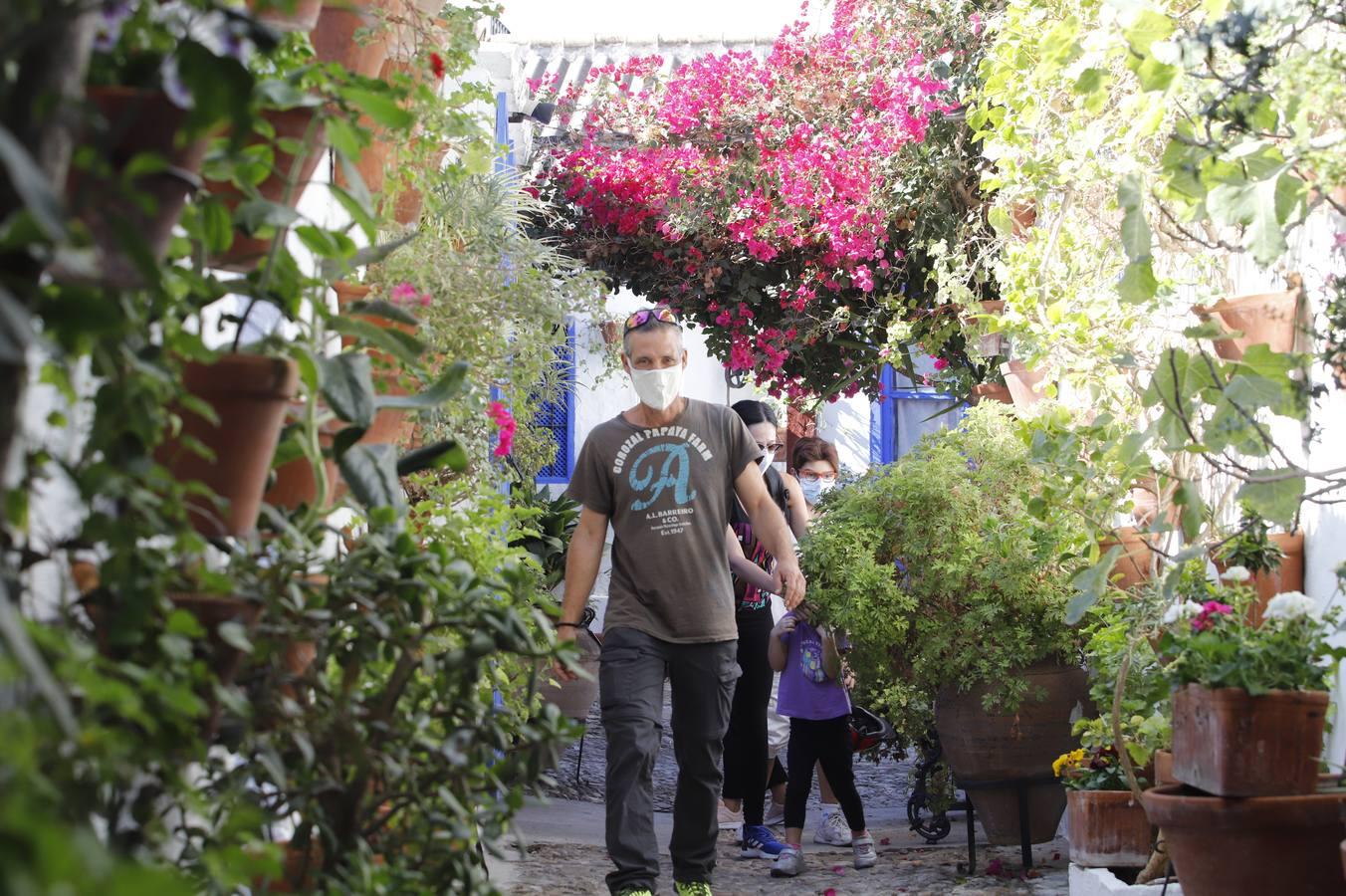 Los patios de octubre de Córdoba, en imágenes