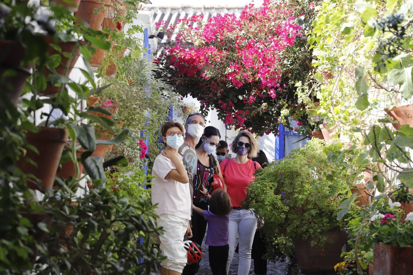 Los patios de octubre de Córdoba, en imágenes