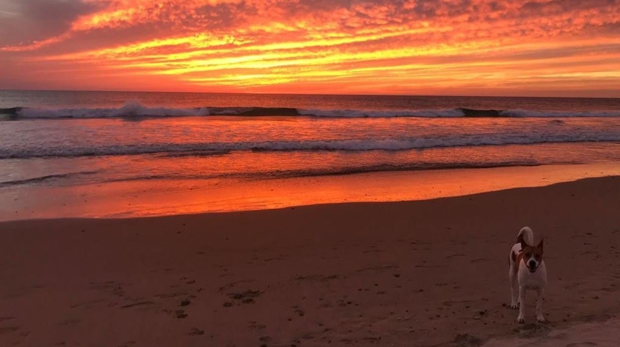 Fotos: El atardecer en la provincia de Cádiz