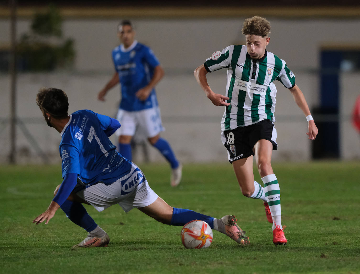 Así ha celebrado el Córdoba CF la clasificación para la Copa del Rey ante el Xerez CD, en imágenes