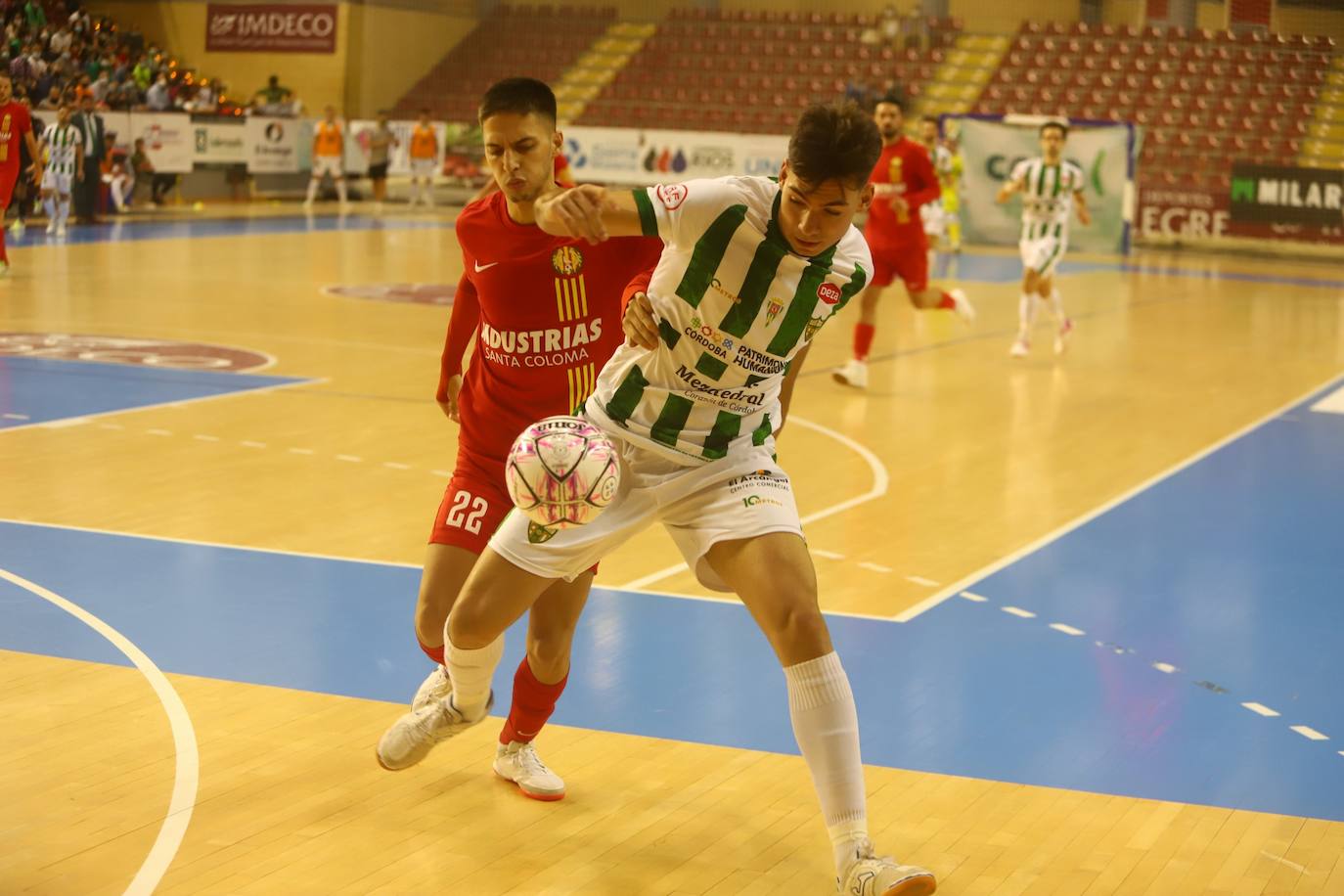 El Córdoba Patrimonio - Santa Coloma de fútbol sala, en imágenes