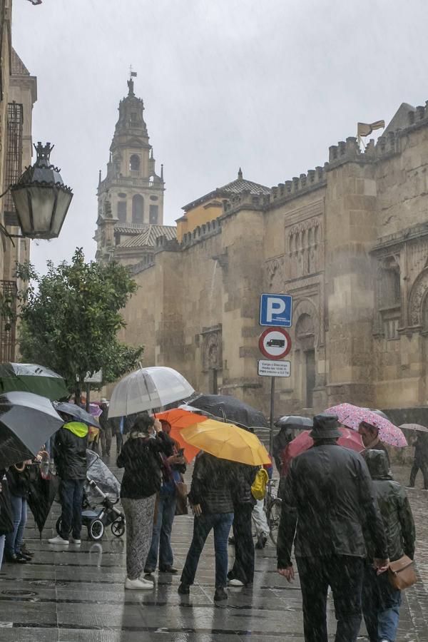 El turismo en el Puente de Todos los Santos en Córdoba, en imágenes