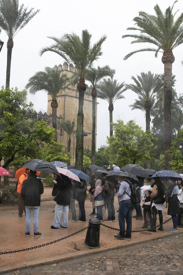 El turismo en el Puente de Todos los Santos en Córdoba, en imágenes