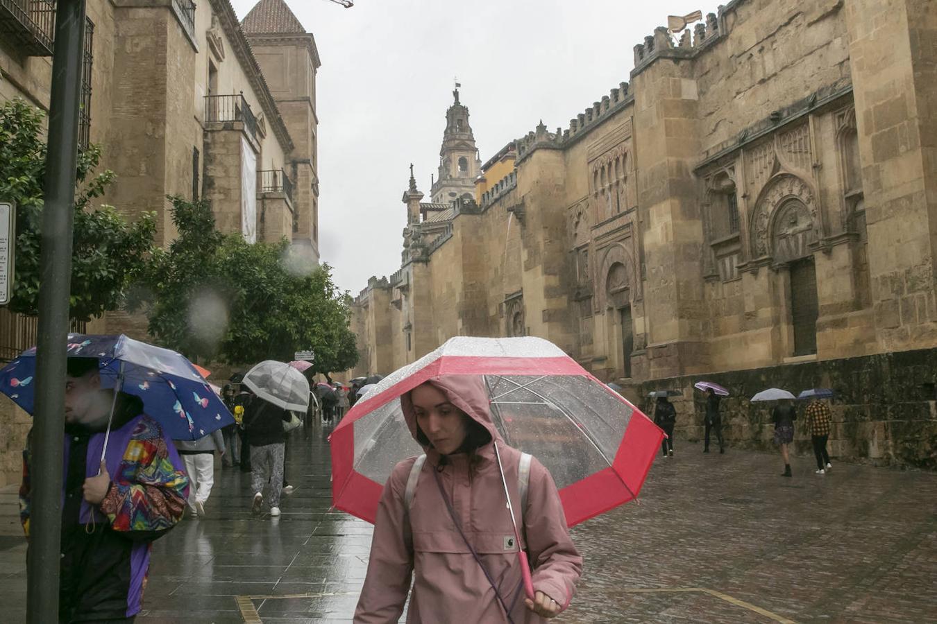 El turismo en el Puente de Todos los Santos en Córdoba, en imágenes