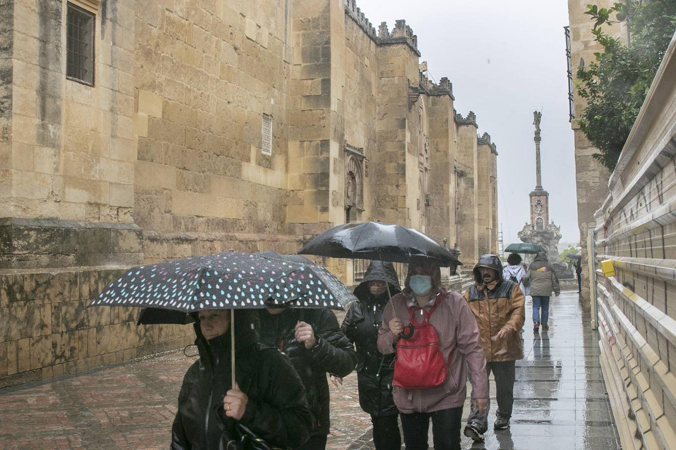 El turismo en el Puente de Todos los Santos en Córdoba, en imágenes