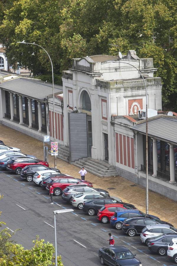 El deterioro de la Pérgola de Córdoba, en imágenes