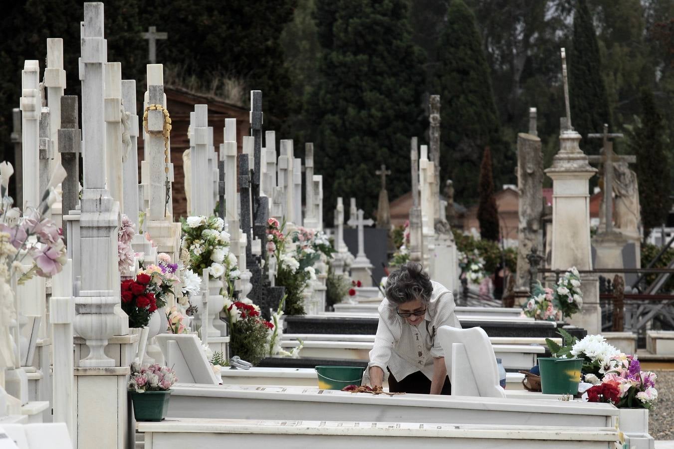 En imágenes, memoria y tradición en el cementerio de Sevilla