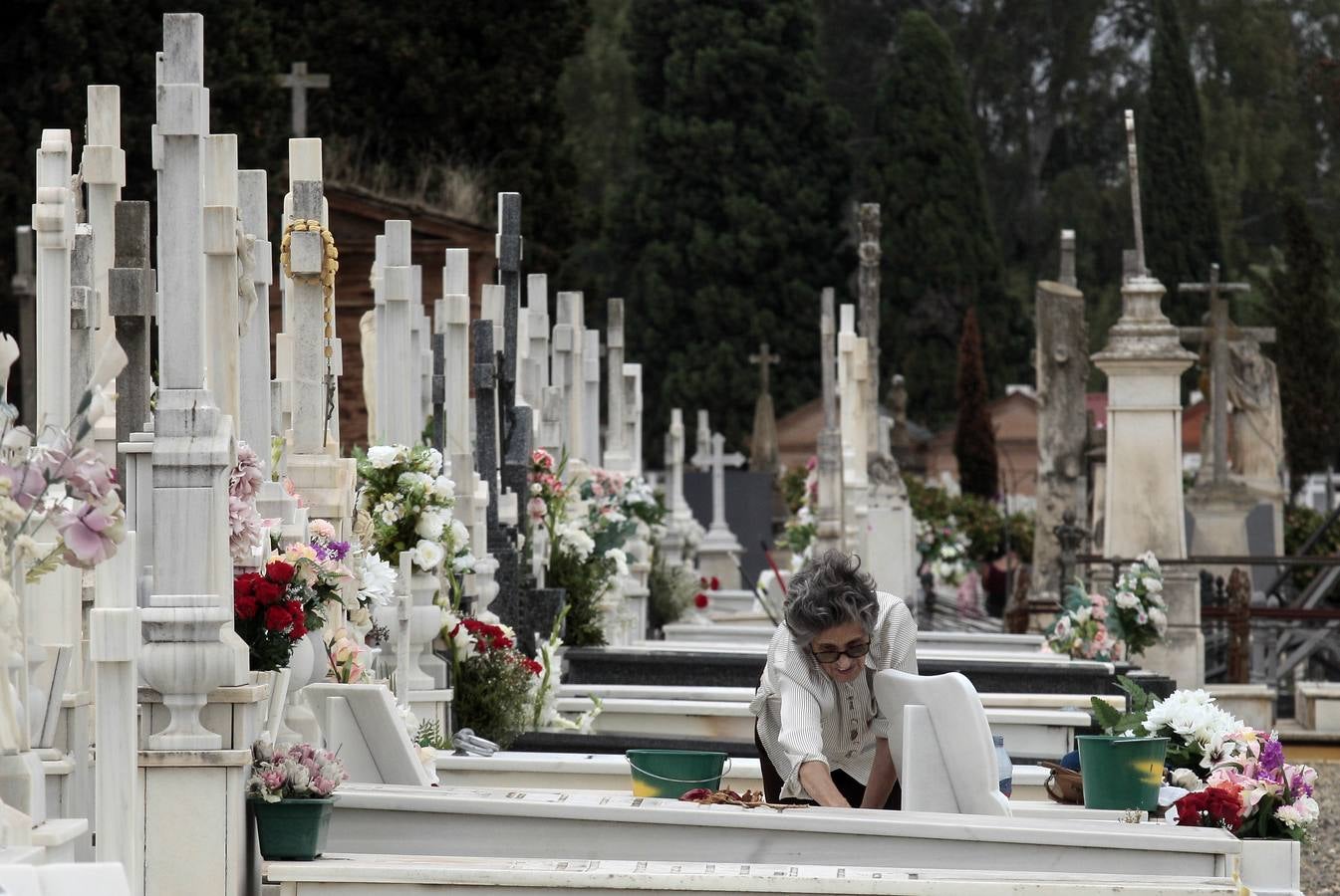 En imágenes, memoria y tradición en el cementerio de Sevilla