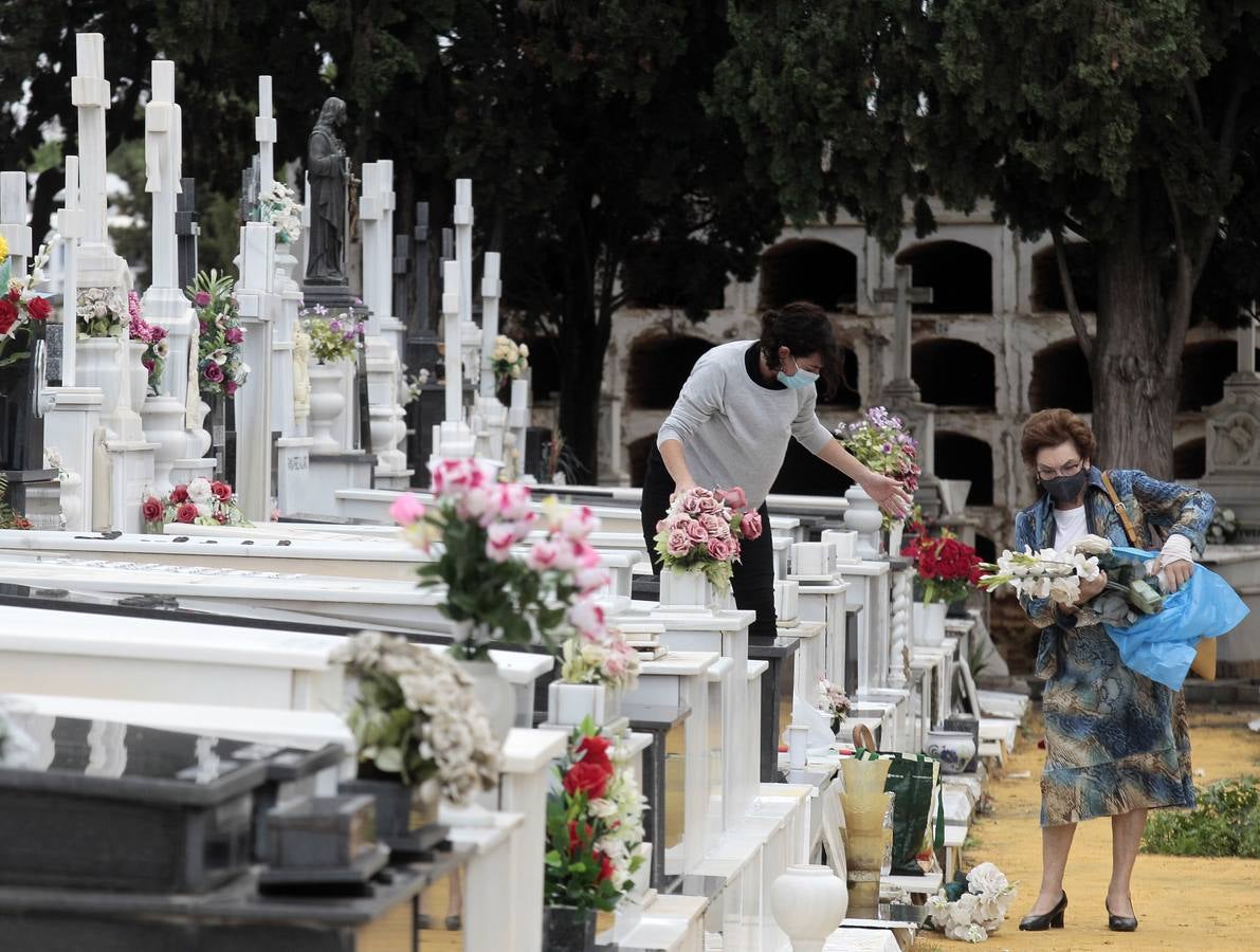 En imágenes, memoria y tradición en el cementerio de Sevilla