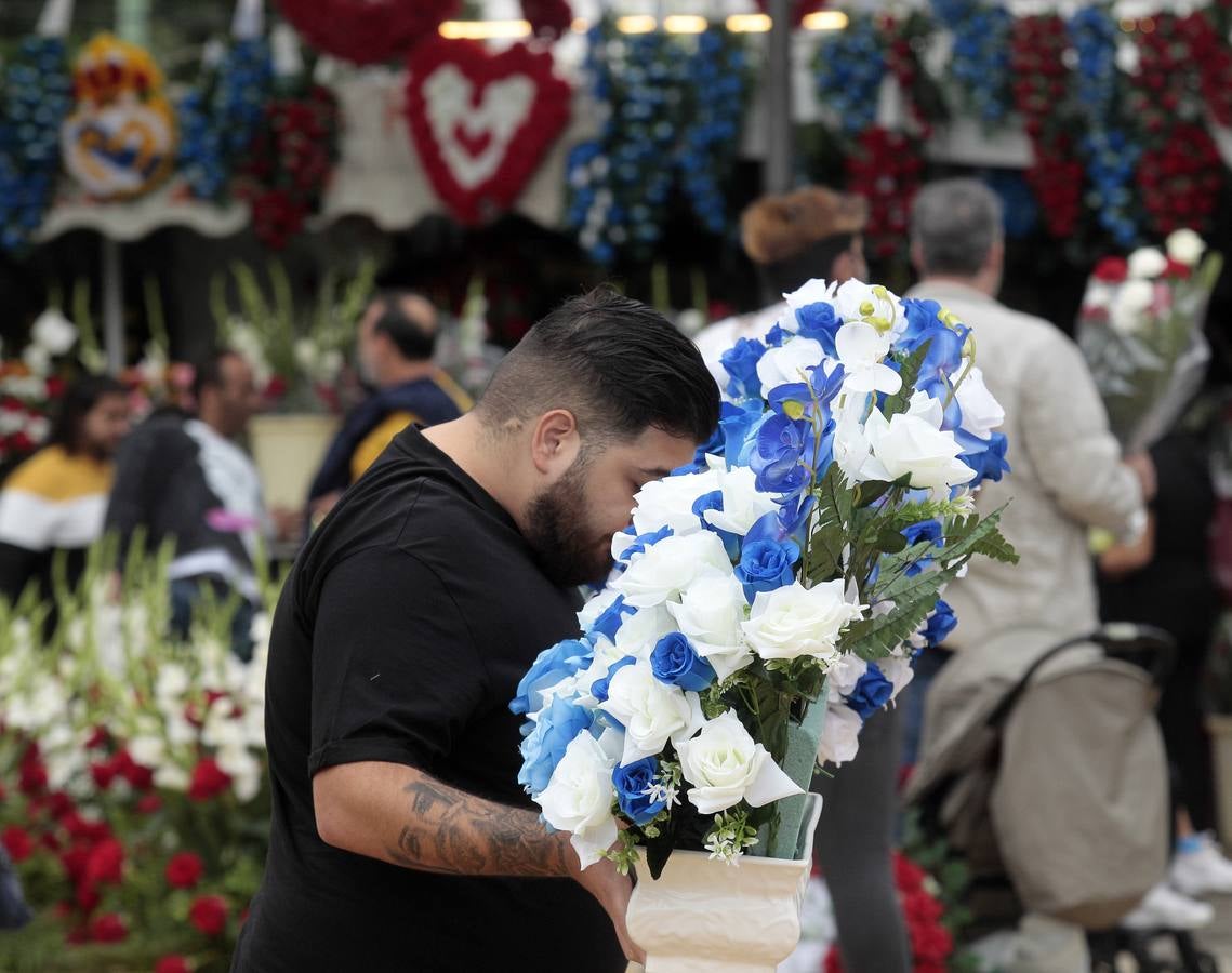 En imágenes, memoria y tradición en el cementerio de Sevilla