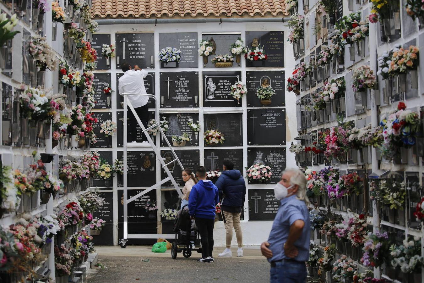 Las visitas a los cementerios el Día de Todos Los Santos en Córdoba, en imágenes