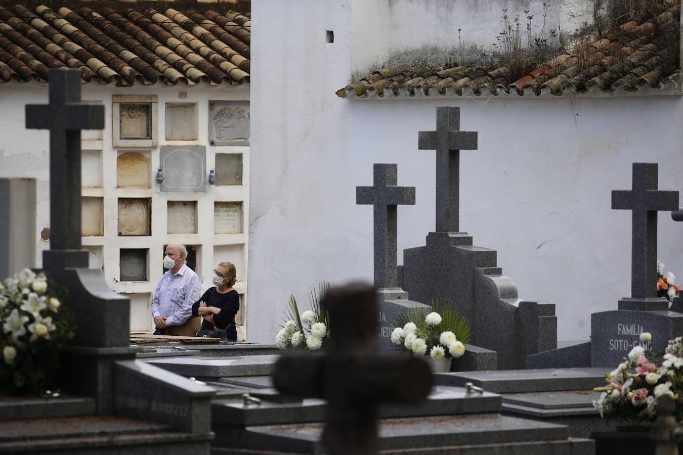 Las visitas a los cementerios el Día de Todos Los Santos en Córdoba, en imágenes