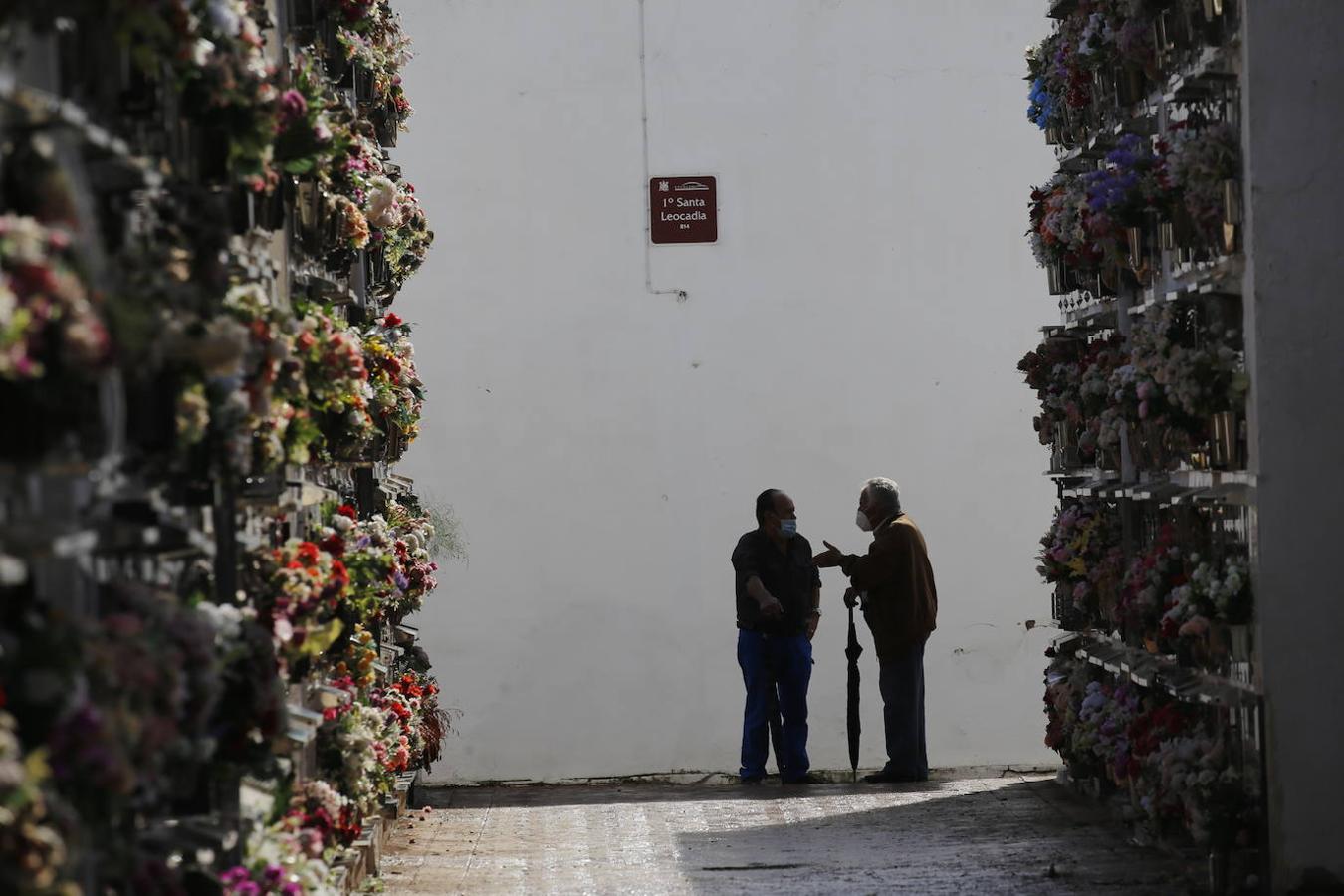 Las visitas a los cementerios el Día de Todos Los Santos en Córdoba, en imágenes