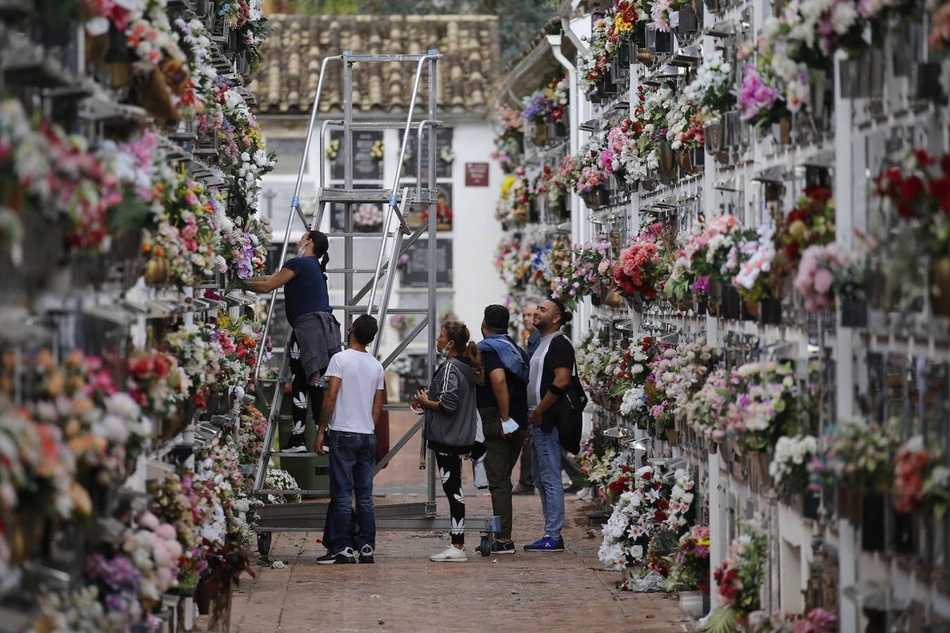 Las visitas a los cementerios el Día de Todos Los Santos en Córdoba, en imágenes