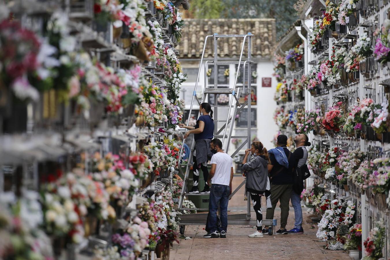 Las visitas a los cementerios el Día de Todos Los Santos en Córdoba, en imágenes