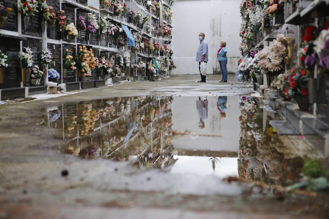 Las visitas a los cementerios el Día de Todos Los Santos en Córdoba, en imágenes