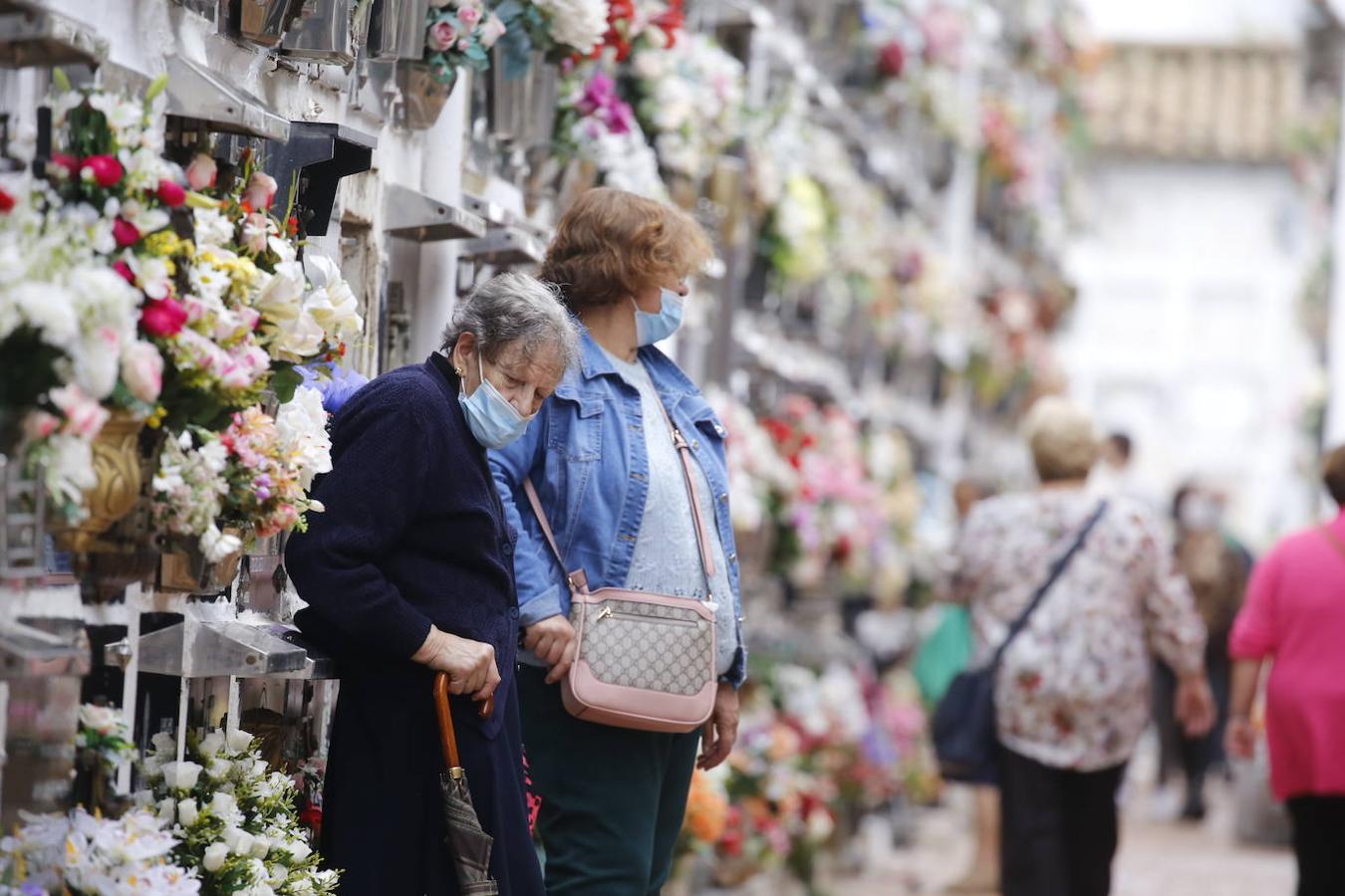 Las visitas a los cementerios el Día de Todos Los Santos en Córdoba, en imágenes