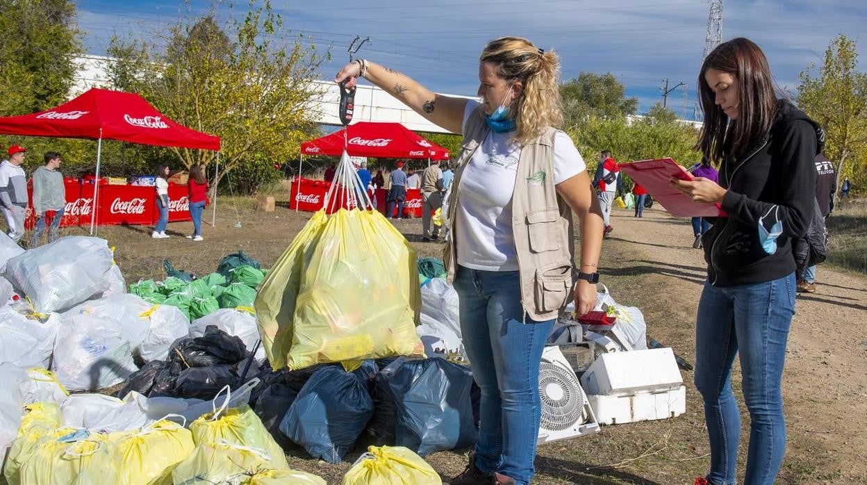 Recogida de residuos en la ribera del Guadalquivir de Sevilla, en imágenes