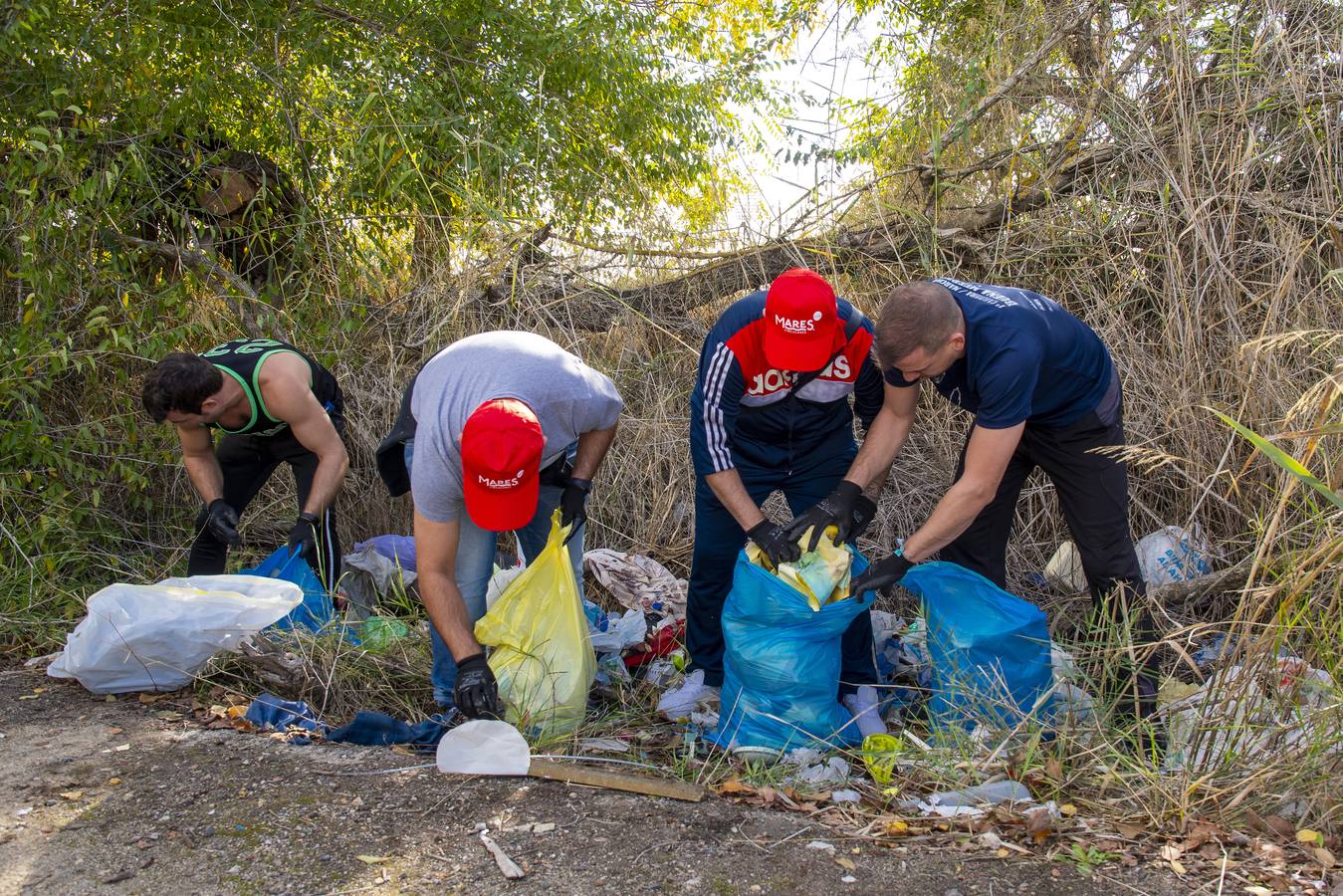 Recogida de residuos en la ribera del Guadalquivir de Sevilla, en imágenes