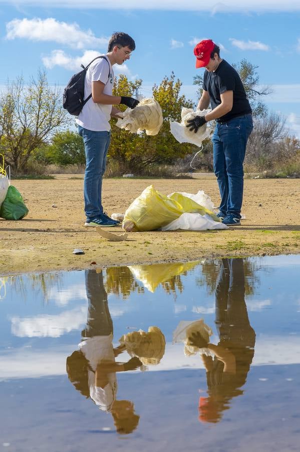 Recogida de residuos en la ribera del Guadalquivir de Sevilla, en imágenes